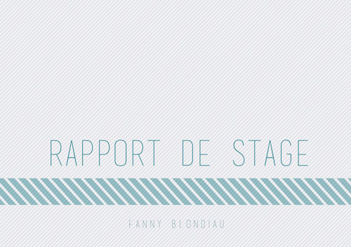 Rapport de Stage
